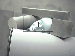 被災者自動識別画像処理アルゴリズムの開発